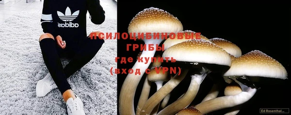 мяу мяу мука Балахна