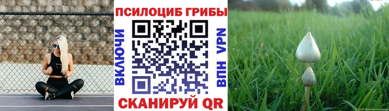 Галлюциногенные грибы ЛСД Кукмор